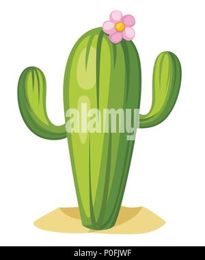 Green cactus with pink flower. Large cactus tree in desert. Cartoon vector illustration isolated on white background. Stock Vector