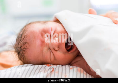Newborn baby boy crying on the chest of his mom Stock Photo