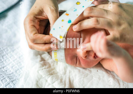 Measuring the head circuit of a newborn baby boy in the hospital Stock Photo