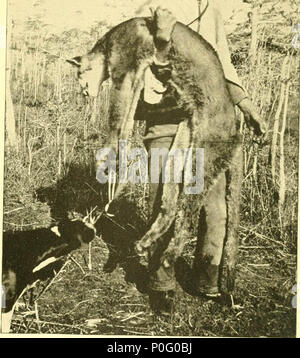 'Hunting and fishing in Florida, including a key to the water birds known to occur in the state' (1896) Stock Photo