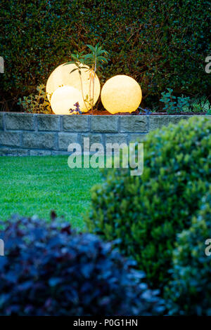 Close-up partial view of topiary box balls & illuminated globe lights beyond, in beautiful, landscaped private garden at dusk - Yorkshire, England, UK Stock Photo