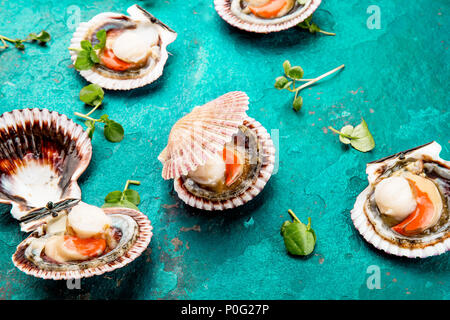 Raw opened shellfish scallops on turquoise background. Top view. Seafood concept. Stock Photo