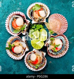 Raw opened shellfish scallops on turquoise background. Top view. Seafood concept. Stock Photo