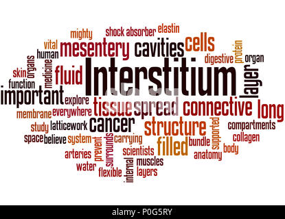 Interstitium (new organ discovered in human body) word cloud concept on white background. Stock Photo