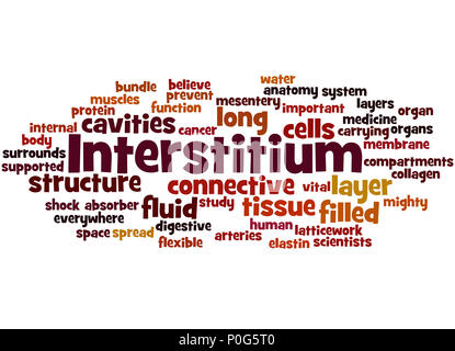 Interstitium (new organ discovered in human body) word cloud concept on white background. Stock Photo