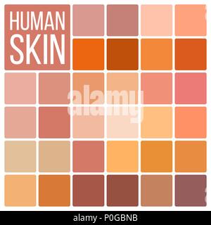 Human Skin Vector. Various Body Tones Chart. Realistic Texture Palette. Color. Cosmetic Graphic Element. Illustration Stock Vector