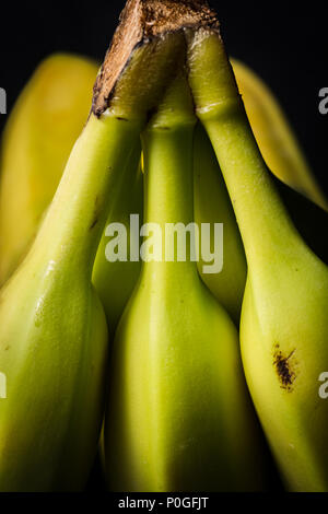 Three isolated stems for a bunch of bananas on a dark background Stock Photo