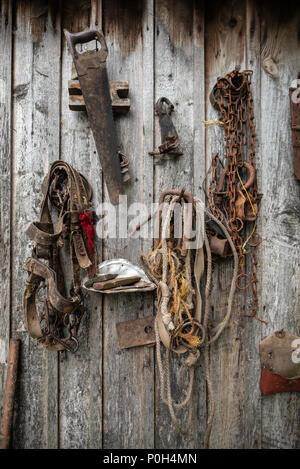 Retro horse harness and other hand tools hanging on wooden wall of old barn. Stories about rural life in Ukraine Stock Photo