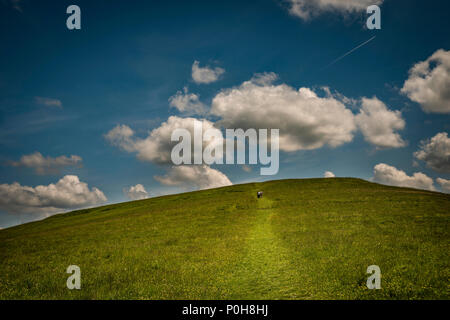 Knap Hill Neolithic causewayed enclosure in the Vale of Pewsey, Wiltshire, UK Stock Photo