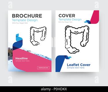 Large Intestine brochure flyer design template with abstract photo background, minimalist trend business corporate roll up or annual report Stock Vector