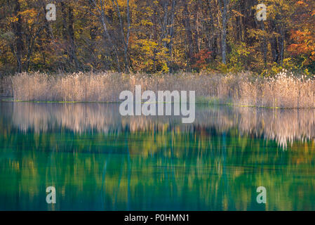 Goshiki-numa Five Colour Pond in Autumn, Urabandai, Fukushima, Japan Stock Photo