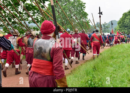 Regiment of red coated military pikemen marching in English Civil War (1641 to 1652) re-enactment by Sealed Knot Stock Photo