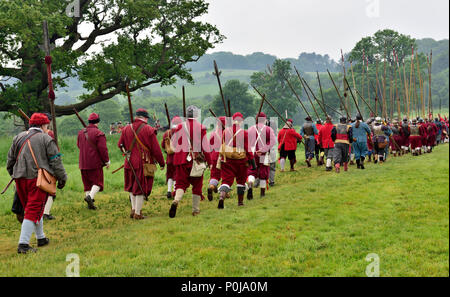 17th century military musketeers and pikemen marking across field to battle Stock Photo