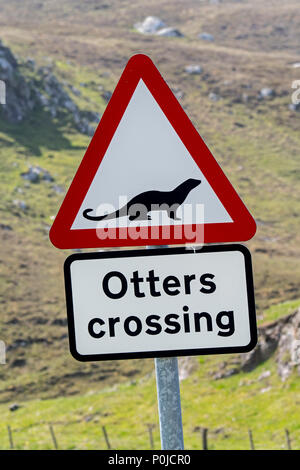 Eurasian otter / European otter (Lutra lutra) road warning sign for otters crossing street in coastal Scotland, UK Stock Photo