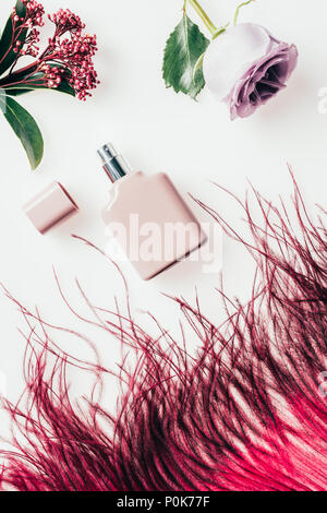 top view of bottle of perfume with red feather and flowers on white Stock Photo