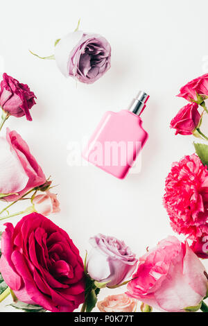 top view of pink bottle of perfume surrounded with rose buds on white Stock Photo