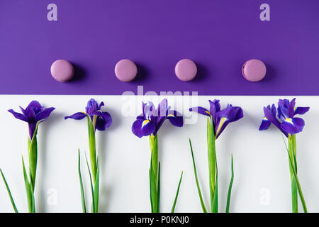 top view of iris flowers with macaron cookies on purple and white surface Stock Photo