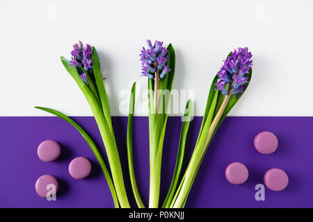 top view of hyacinth flowers with macaron cookies on purple and white surface Stock Photo