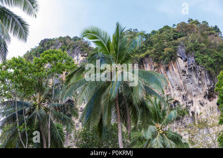 Popular travel tropical karst rocks perfect for climbing, Krabi province, Thailand