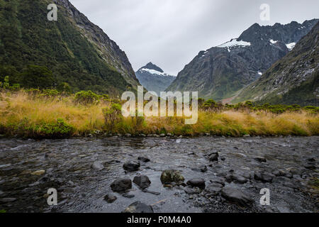 Landscape around Monkey Creek, Milford Sound, New Zealand Stock Photo