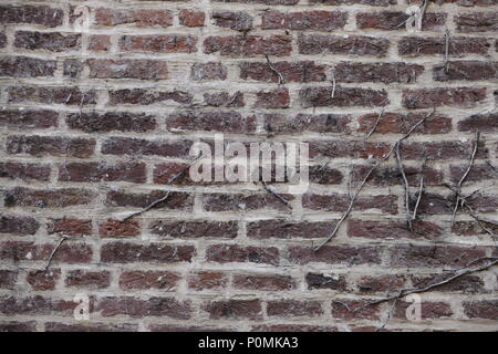 An old brick wall from a medieval house Stock Photo