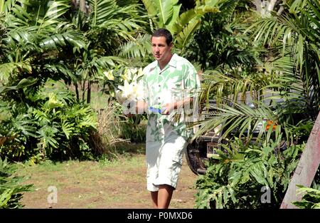 50 First Dates Year 04 Usa Director Peter Segal Sean Astin Stock Photo Alamy