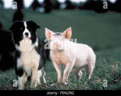 Original Film Title: BABE, THE GALLANT PIG.  English Title: BABE, THE GALLANT PIG.  Film Director: CHRIS NOONAN.  Year: 1995. Credit: UNIVERSAL PICTURES / TOWNLEY, JIM / Album Stock Photo