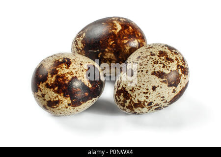 Three quail eggs isolated on white background. Stock Photo