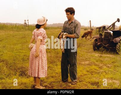 Original Film Title: SPLENDOR IN THE GRASS.  English Title: SPLENDOR IN THE GRASS.  Film Director: ELIA KAZAN.  Year: 1961.  Stars: WARREN BEATTY. Credit: WARNER BROTHERS / Album Stock Photo