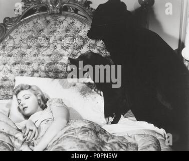 Original Film Title: THE BLACK CAT.  English Title: THE BLACK CAT.  Film Director: ALBERT S. ROGELL.  Year: 1941.  Stars: ANNE GWYNNE. Credit: UNIVERSAL PICTURES / Album