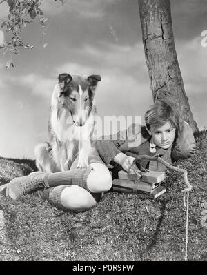 Lassie Come Home. 1943. Directed by Fred M. Wilcox