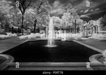 Botanic Garden Under an Ominus Texas Sky Stock Photo