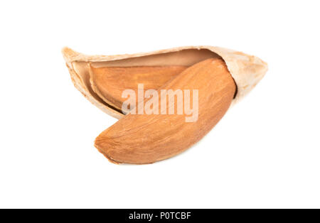 Open wild uzbek almonds isolated on white background Stock Photo