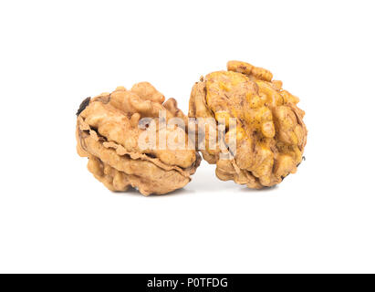 Two fresh walnuts without the shell on white background Stock Photo