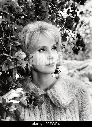 Original Film Title: 36 HOURS. English Title: 36 HOURS. Film Director ...