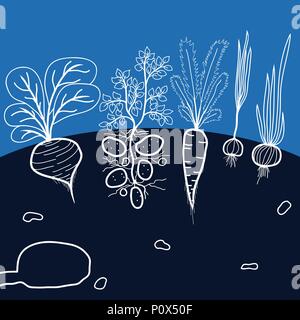 Illustration with Growing Vegetables - Potato, Carrot, Garlic, Beetroot, and Onion on the Black Background Stock Vector