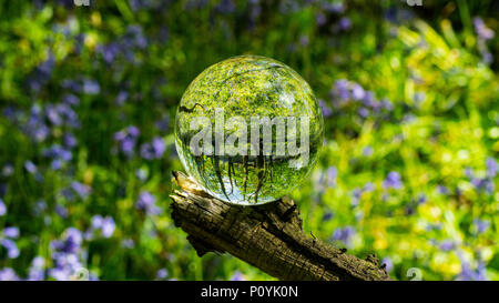 Crystal Photo Magnifying Ball in Forest showing reflected and refracted image reversed in glass Stock Photo