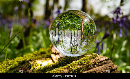 Crystal Photo Magnifying Ball in Forest showing reflected and refracted image reversed in glass Stock Photo