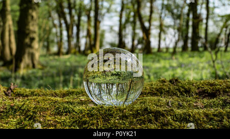 Crystal Photo Magnifying Ball in Forest showing reflected and refracted image reversed in glass Stock Photo