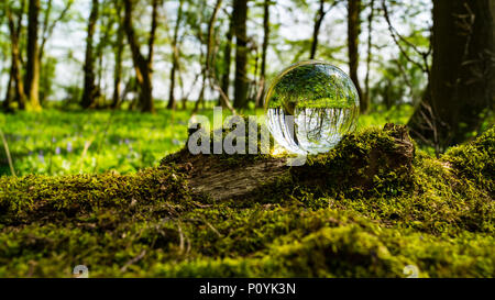 Crystal Photo Magnifying Ball in Forest showing reflected and refracted image reversed in glass Stock Photo