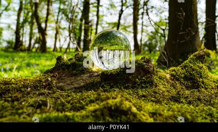 Crystal Photo Magnifying Ball in Forest showing reflected and refracted image reversed in glass Stock Photo