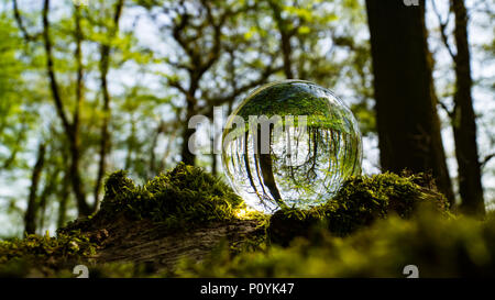 Crystal Photo Magnifying Ball in Forest showing reflected and refracted image reversed in glass Stock Photo