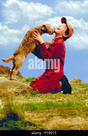 Original Film Title: GOOD BOY!.  English Title: GOOD BOY!.  Film Director: JOHN ROBERT HOFFMAN.  Year: 2003.  Stars: LIAM AIKEN. Credit: METRO GOLDWYN MAYER / HELCERMANAS-BENGE, CHRIS / Album Stock Photo