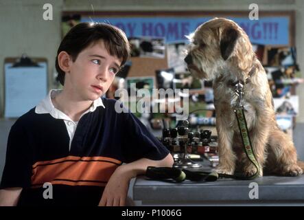 Original Film Title: GOOD BOY!.  English Title: GOOD BOY!.  Film Director: JOHN ROBERT HOFFMAN.  Year: 2003.  Stars: LIAM AIKEN. Credit: METRO GOLDWYN MAYER / HELCERMANAS-BENGE, CHRIS / Album Stock Photo