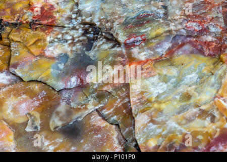 Petrified wood closeup texture, fossilized tree, red, yellow Stock Photo