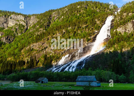 The Vidfoss waterfall in Hordaland, Norway, on a sunny morning. Sheep grazing by the buildings in the shady foreground. Small rainbow forming in the m Stock Photo