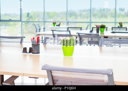 Focused flower pot and stationery stand on the long office table in light interior of open work space office with big windows, desks, chairs and green Stock Photo