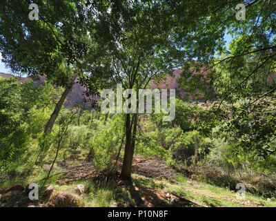 Descending the Bright Angel Trail to Indian Garden Campground in Grand Canyon National Park, Arizona. Stock Photo