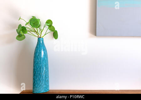 Close-up of Chinese Money Plant in a blue vase on wooden side table against white wall with copy space Stock Photo