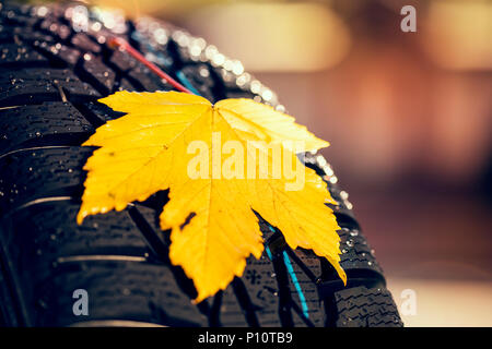 winter tire on a wet road with leaves, symbol Stock Photo